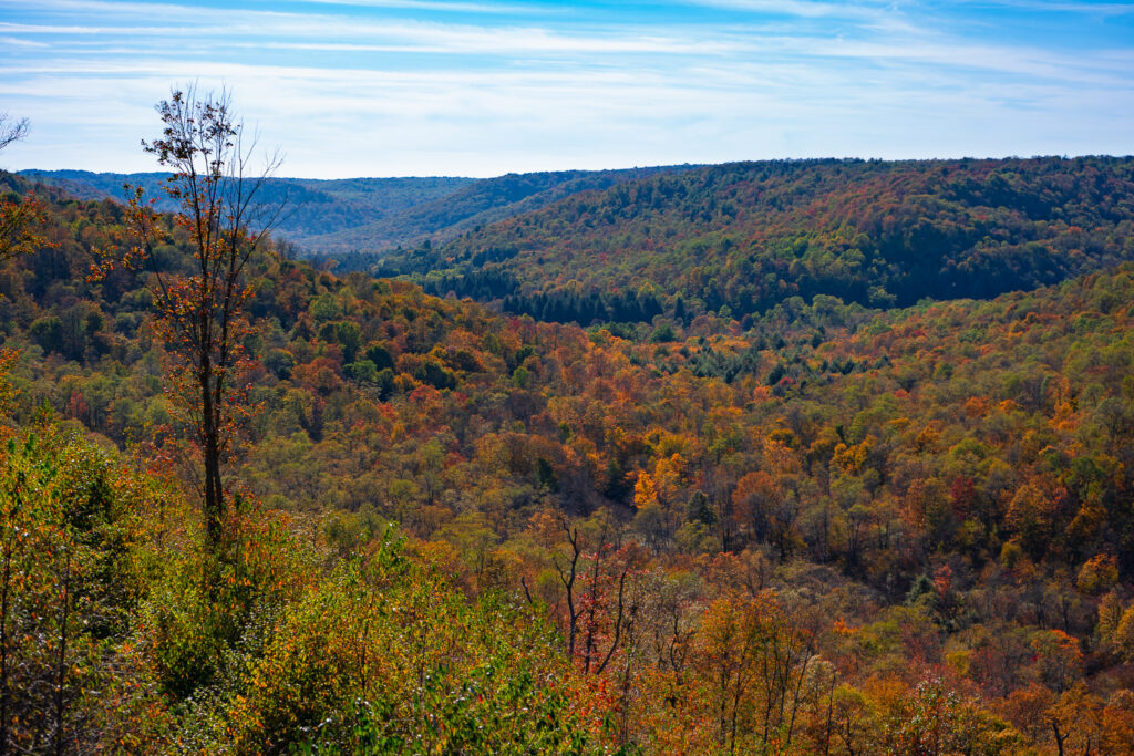 Kinzua Bridge State Park - Helwig.io